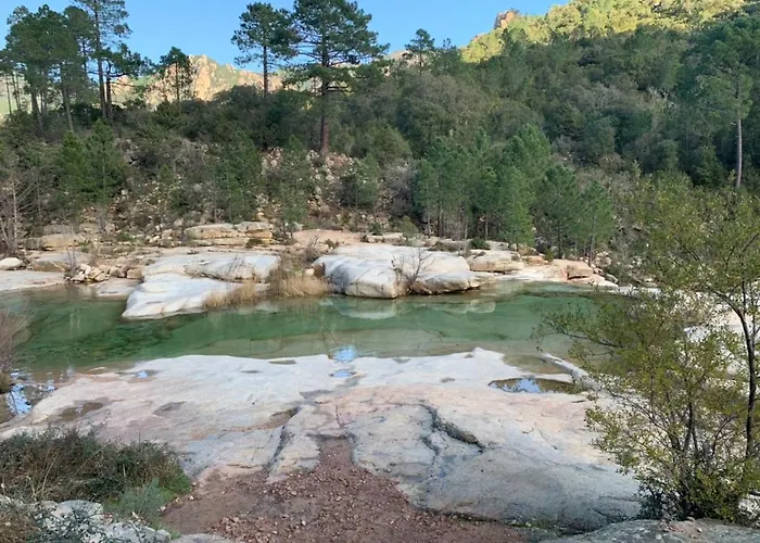 Accommodatie bij particulieren Chez Chris Mare & Macchia Porto-Vecchio (Corsica)